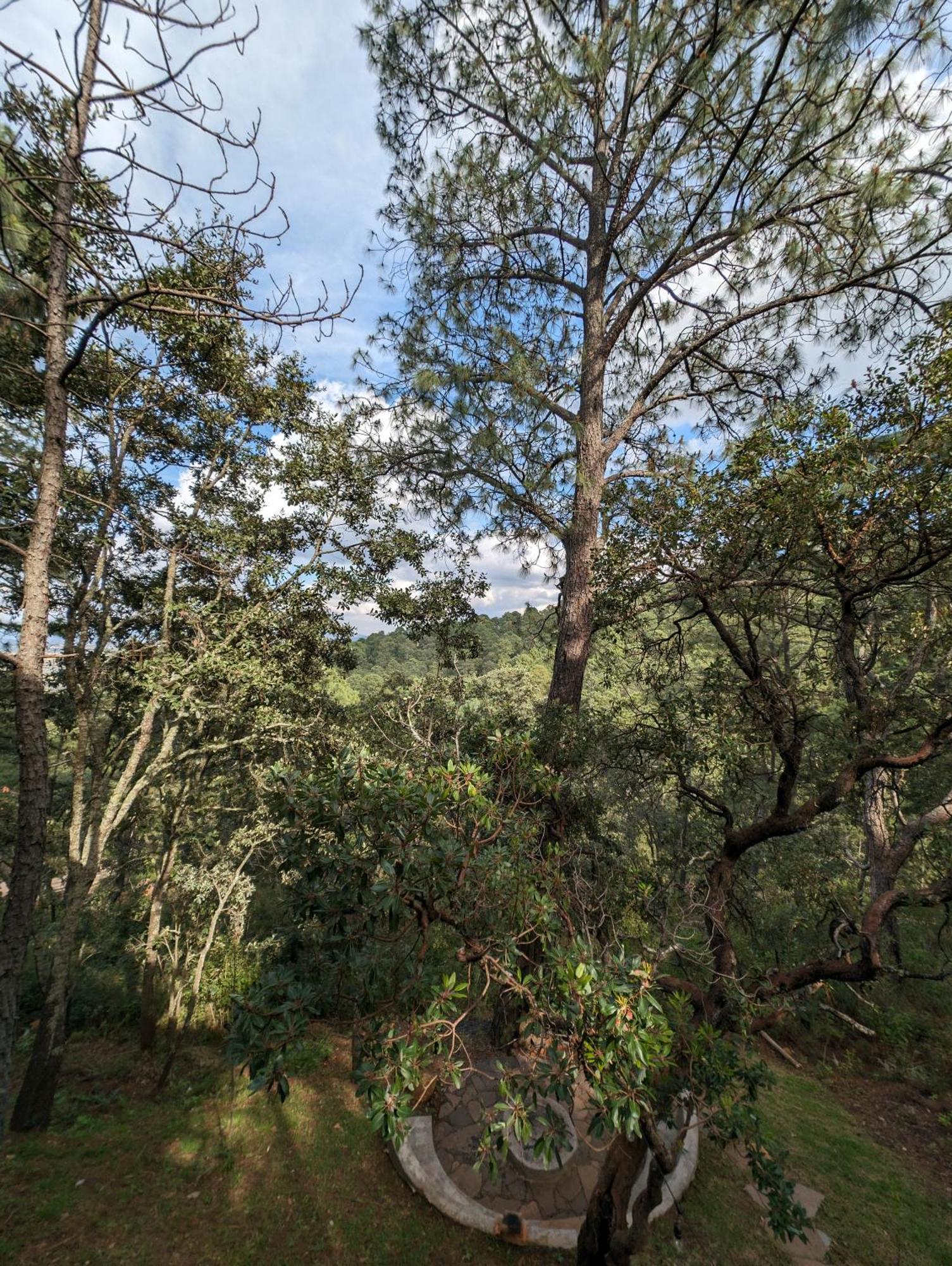 Cabana La Finca مازاميتلا المظهر الخارجي الصورة